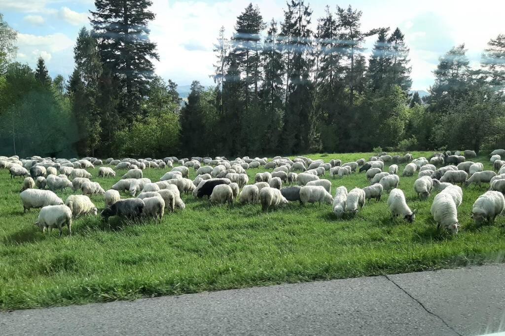 Krasna Chata Maniowy Exteriör bild