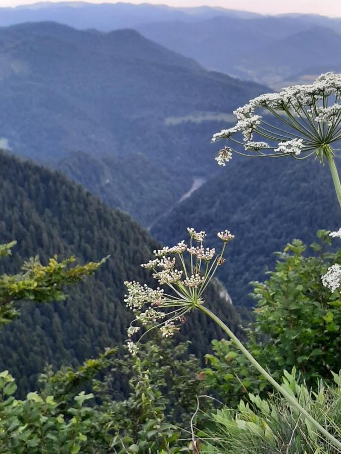 Krasna Chata Maniowy Exteriör bild